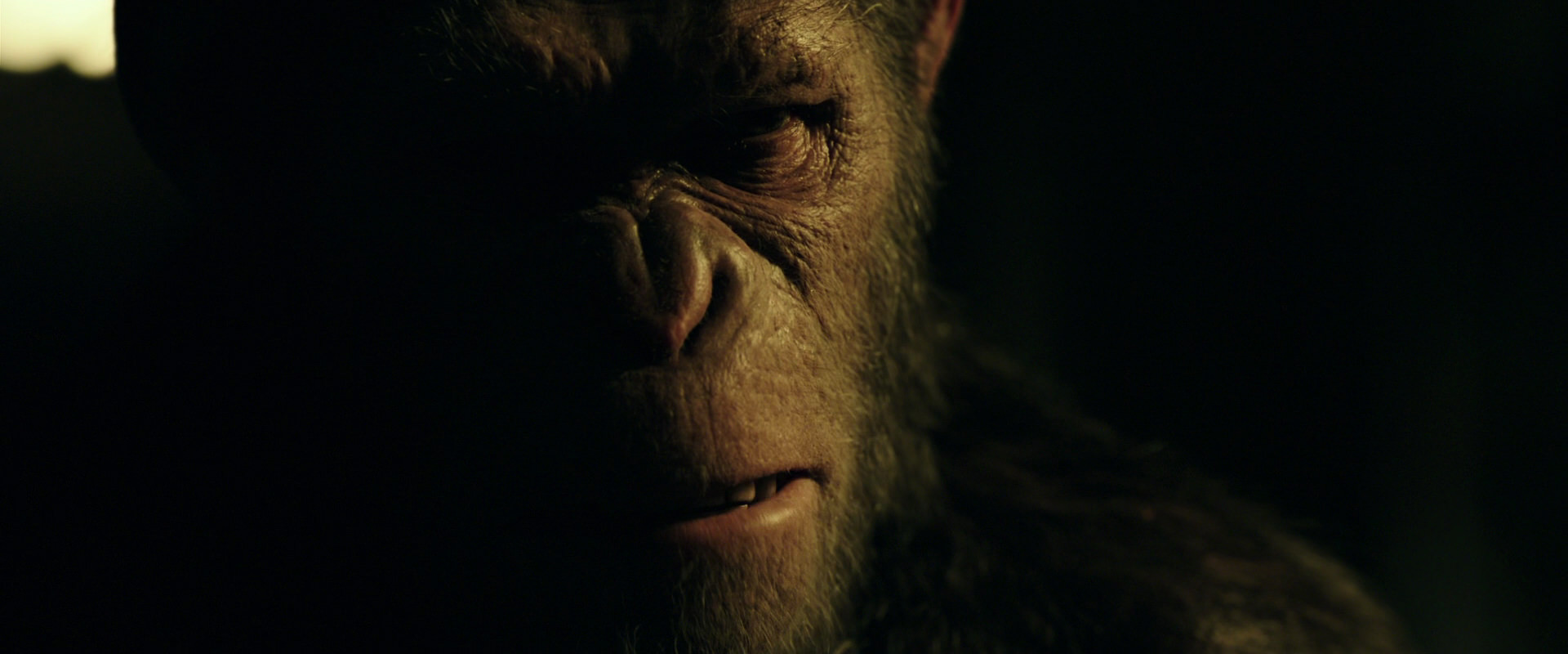 War for the Planet of the Apes (2017) screencap 4191