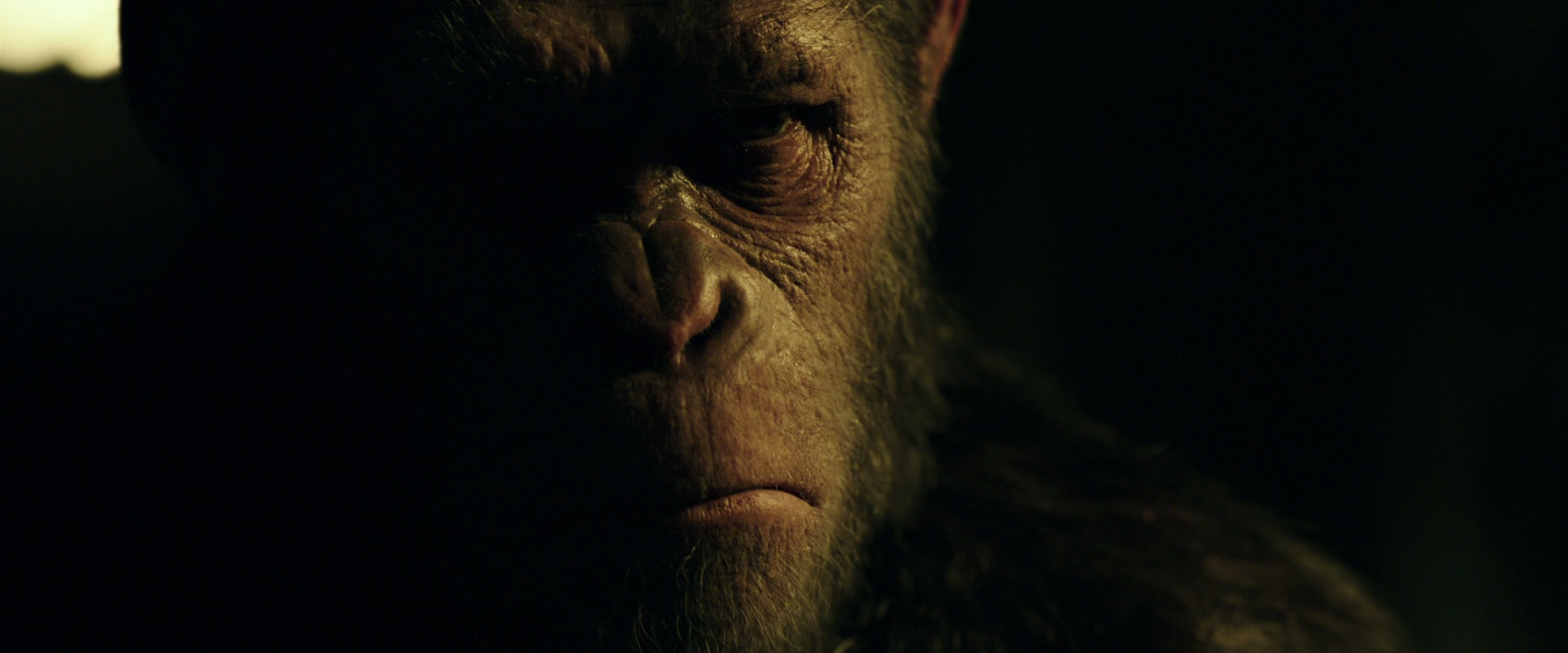 War for the Planet of the Apes (2017) movie still 4192