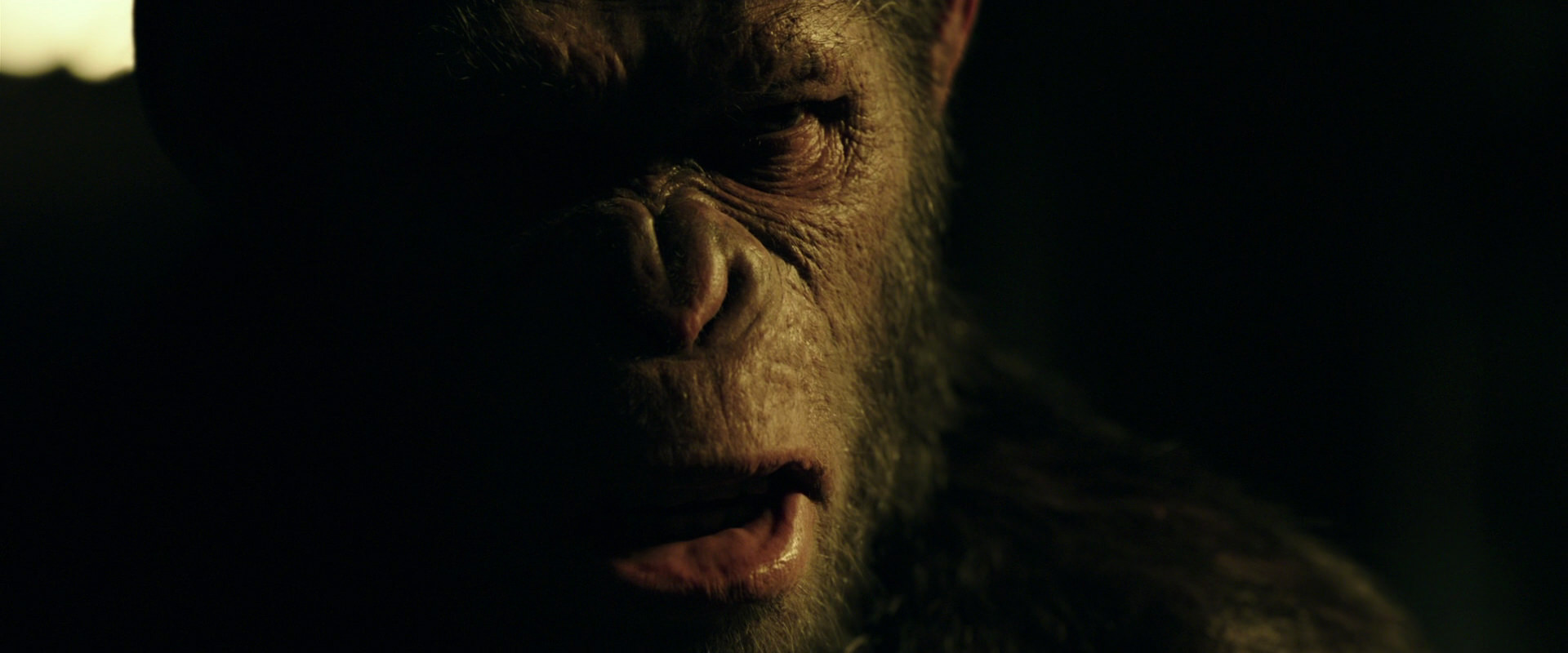 War for the Planet of the Apes (2017) movie still 4195