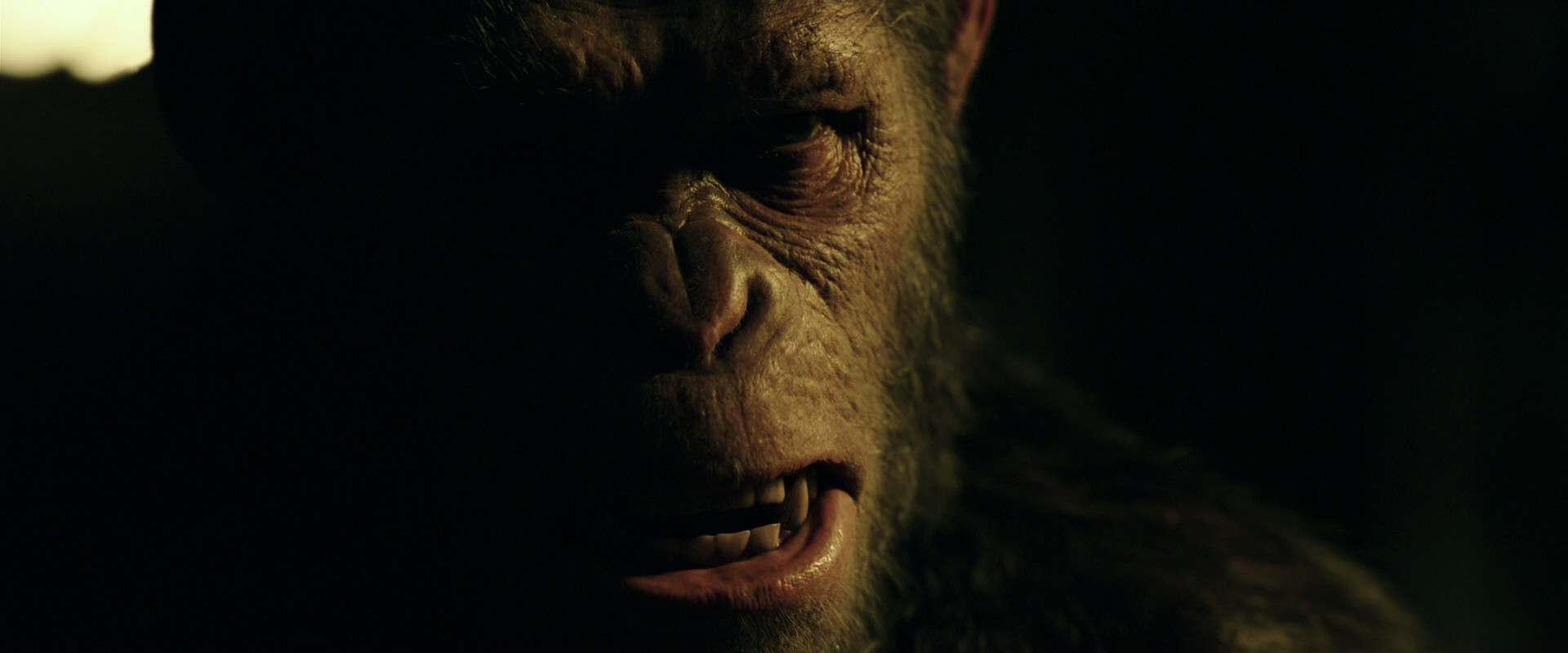 War for the Planet of the Apes (2017) HD screenshot 4196
