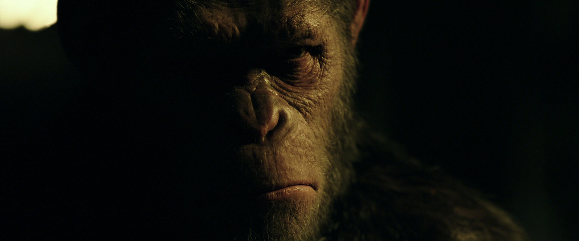 War for the Planet of the Apes (2017) screencap 4197