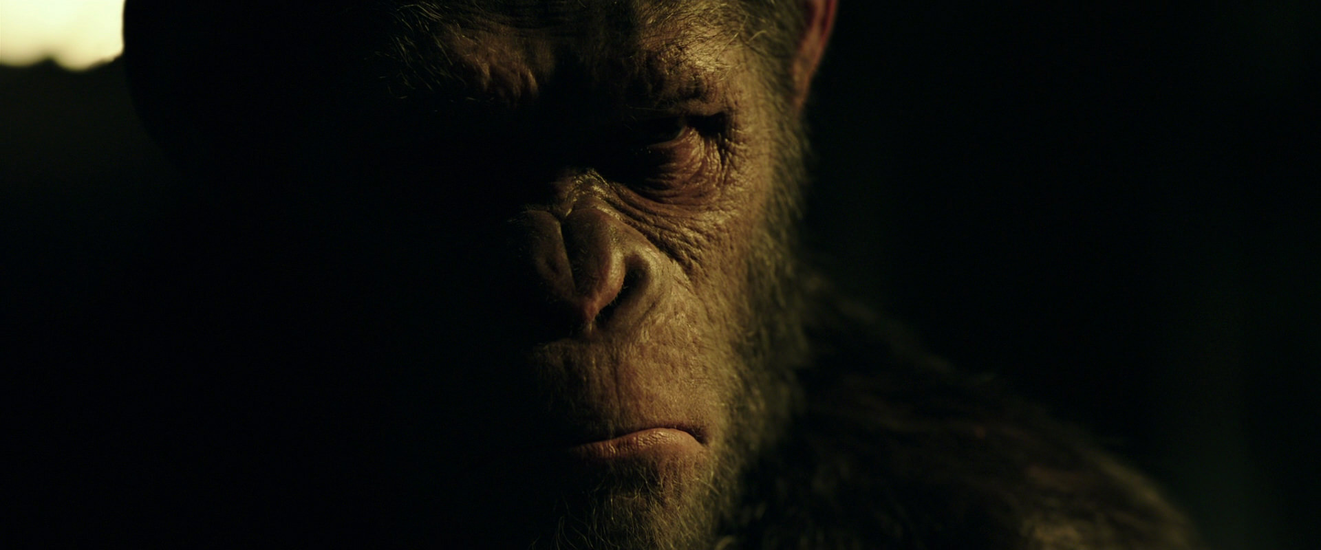 War for the Planet of the Apes (2017) movie still 4198