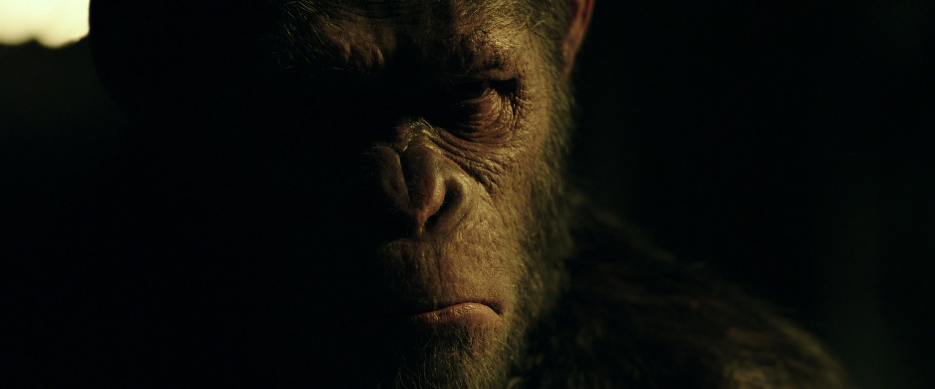 War for the Planet of the Apes (2017) HD screenshot 4199