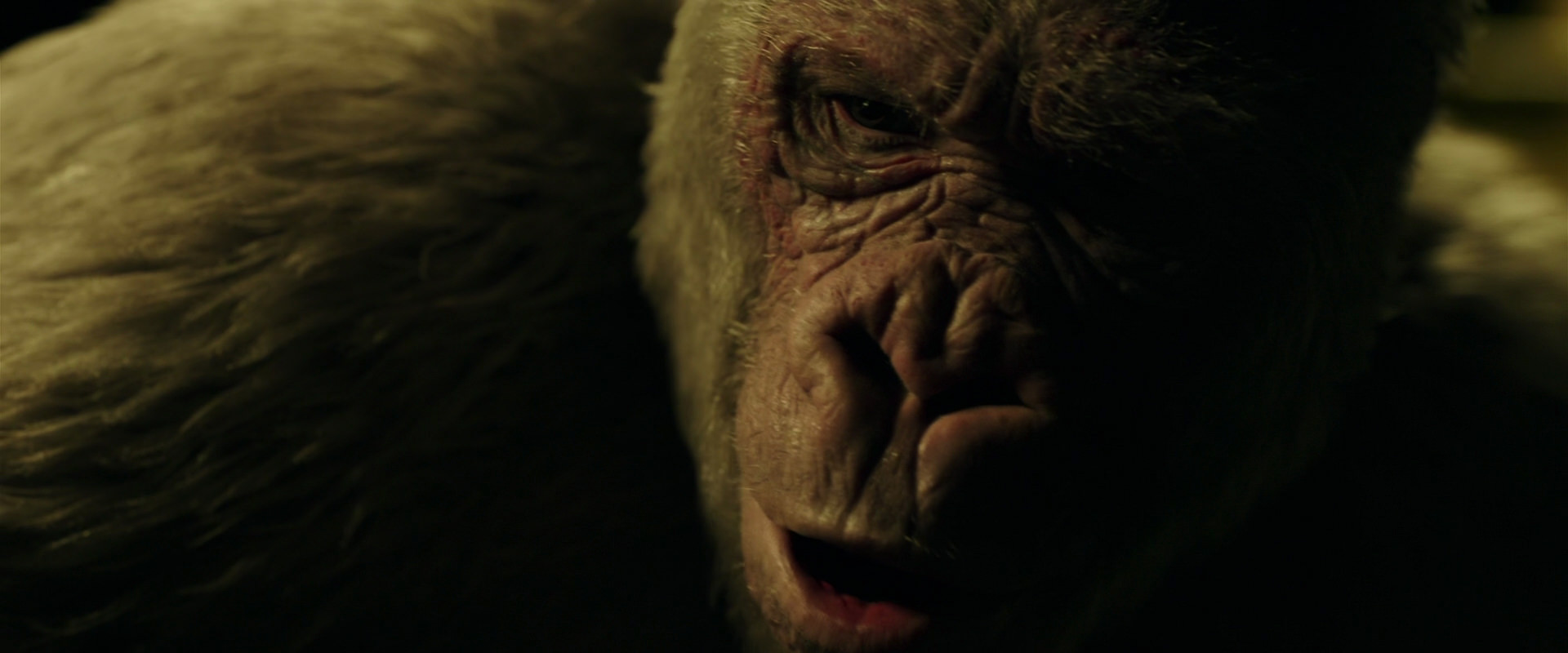 War for the Planet of the Apes (2017) screencap 4200