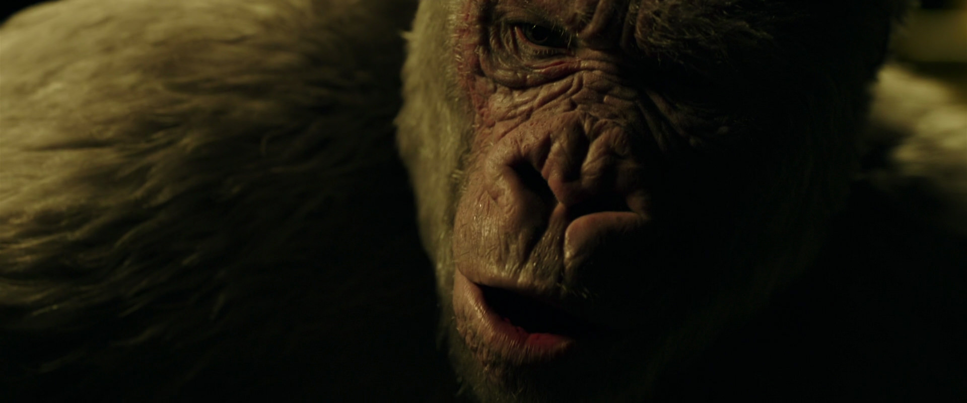 War for the Planet of the Apes (2017) movie still 4201
