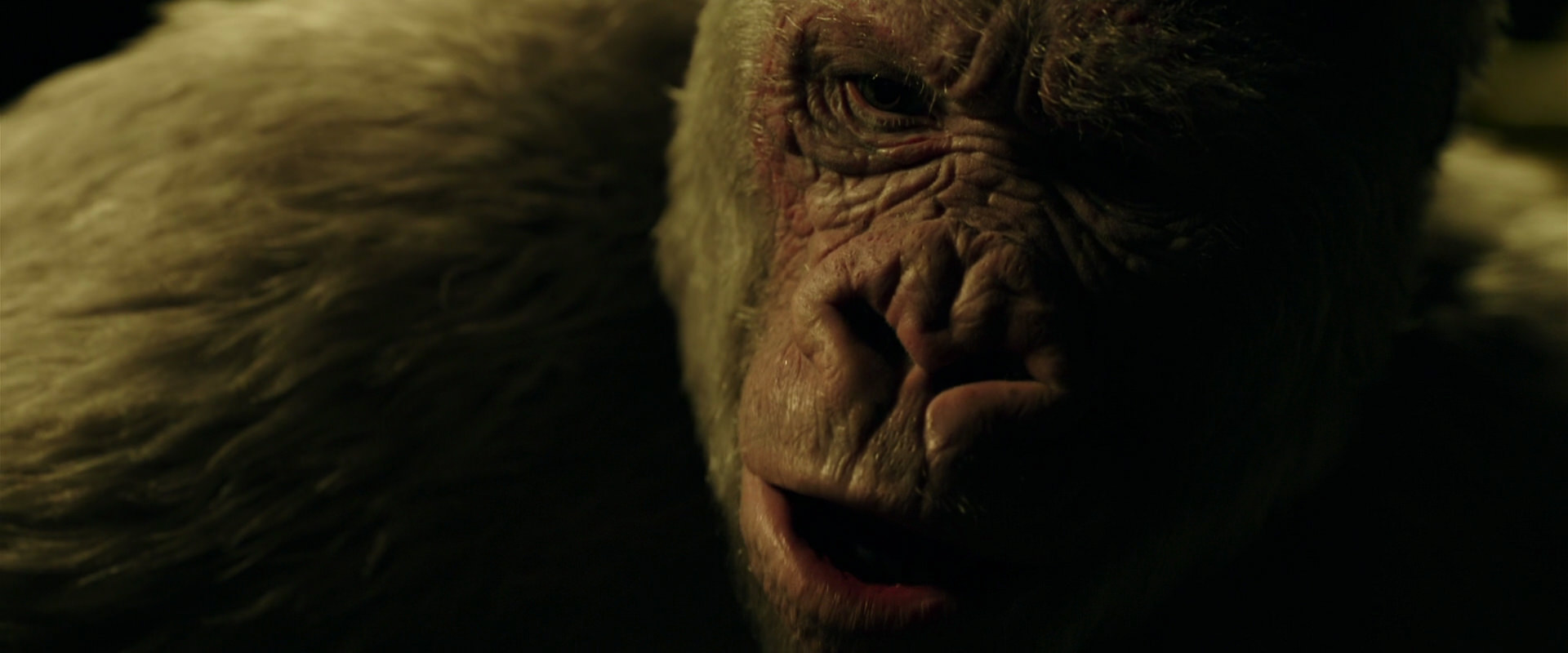War for the Planet of the Apes (2017) HD screenshot 4202