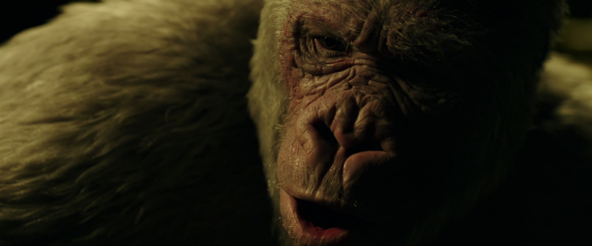 War for the Planet of the Apes (2017) screencap 4203