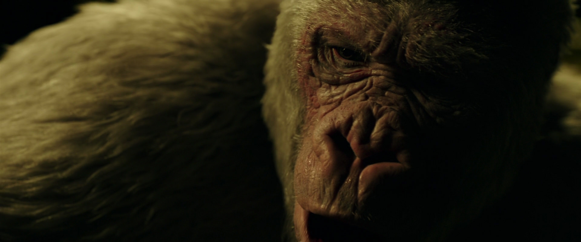 War for the Planet of the Apes (2017) movie still 4204