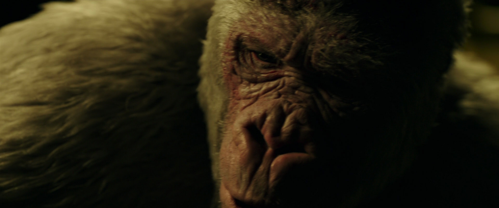 War for the Planet of the Apes (2017) HD screenshot 4205