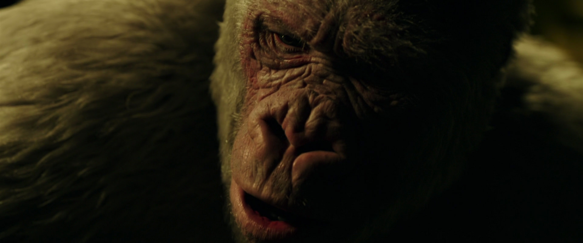 War for the Planet of the Apes (2017) screencap 4206