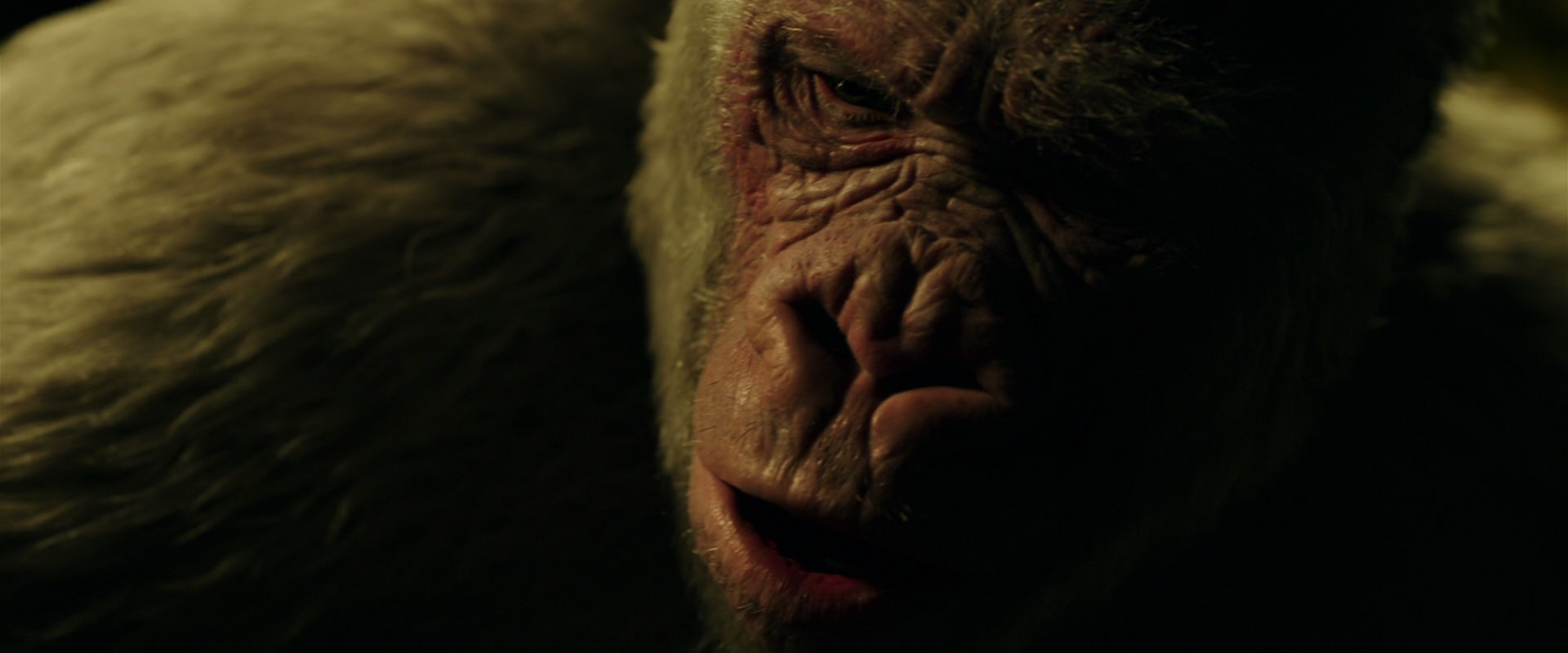 War for the Planet of the Apes (2017) movie still 4207