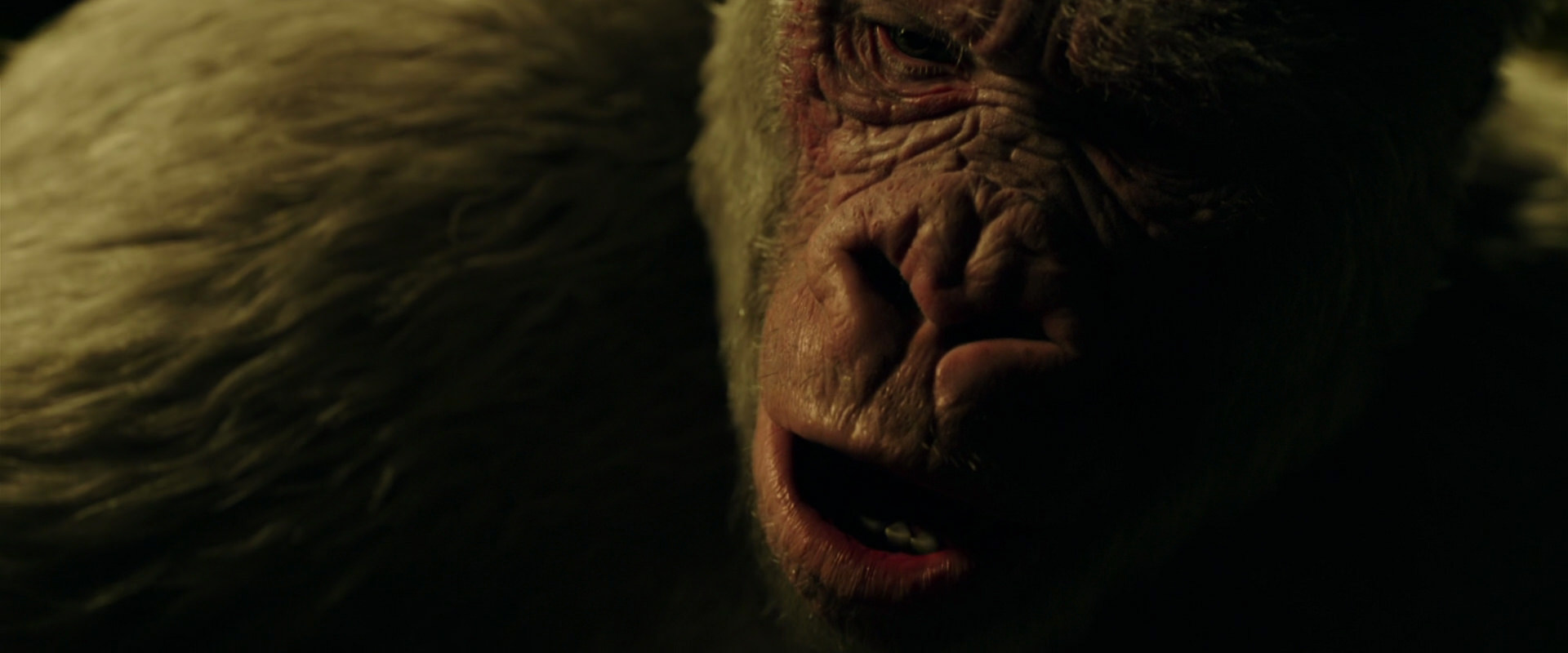 War for the Planet of the Apes (2017) HD screenshot 4208