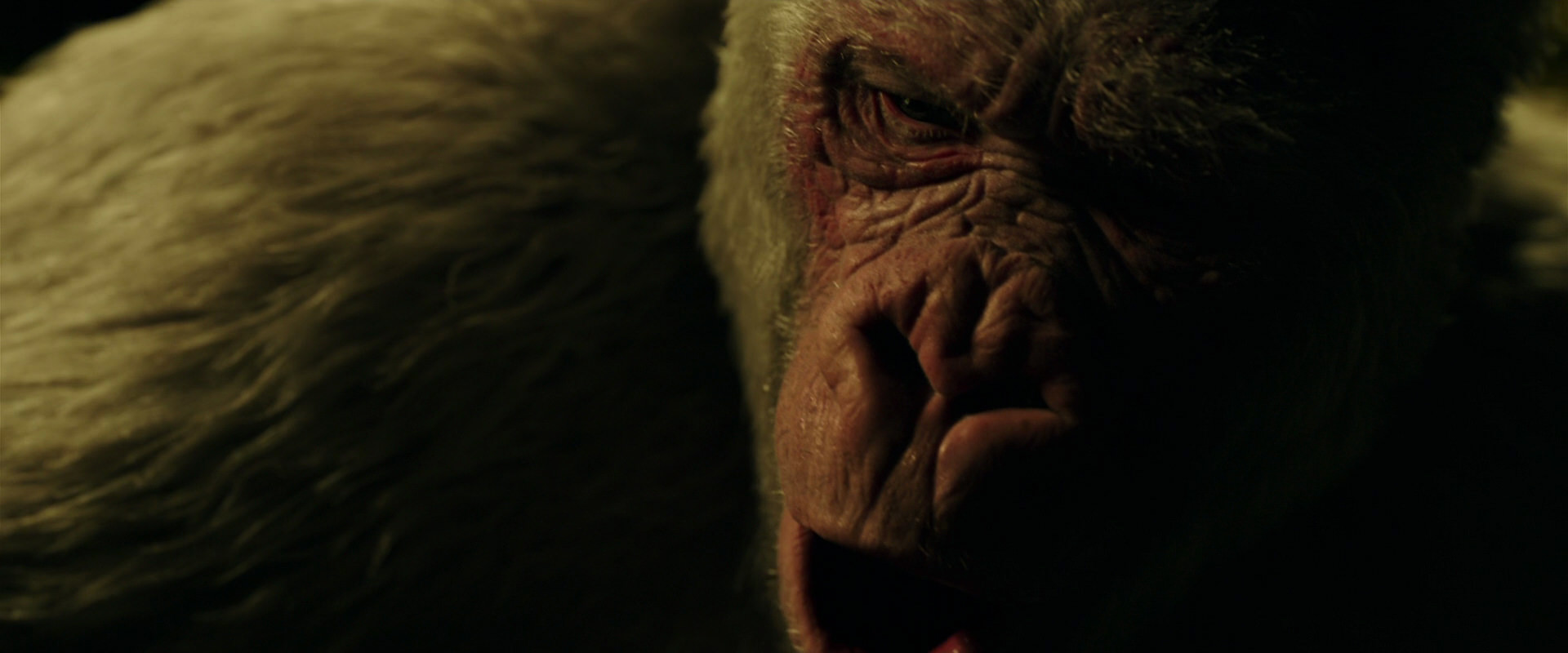 War for the Planet of the Apes (2017) screencap 4209