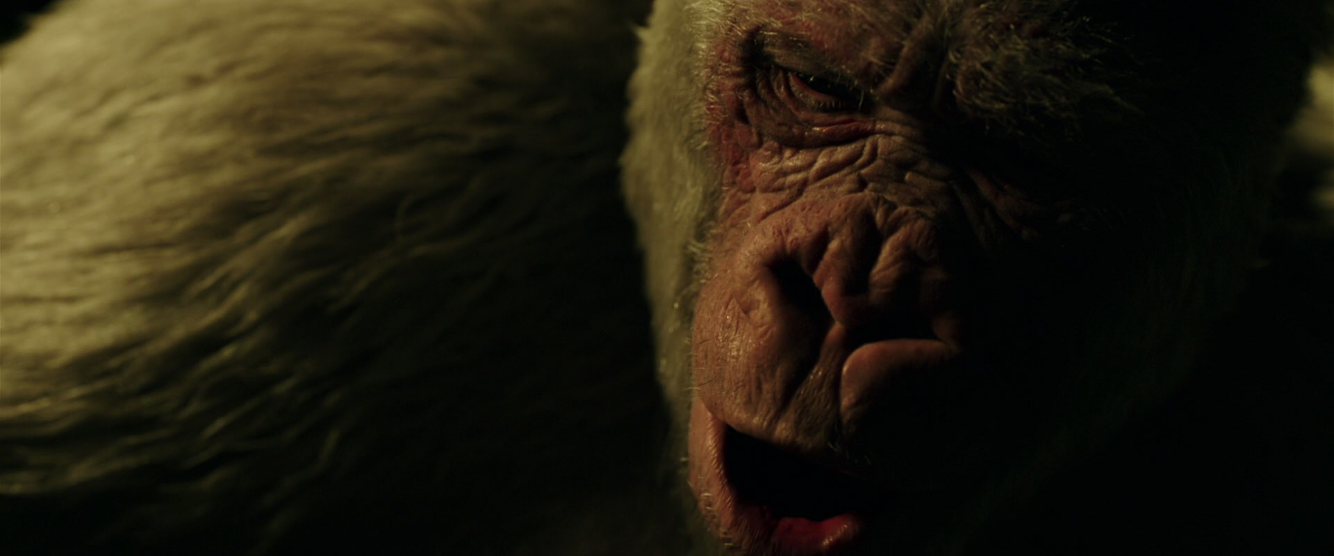 War for the Planet of the Apes (2017) movie still 4210