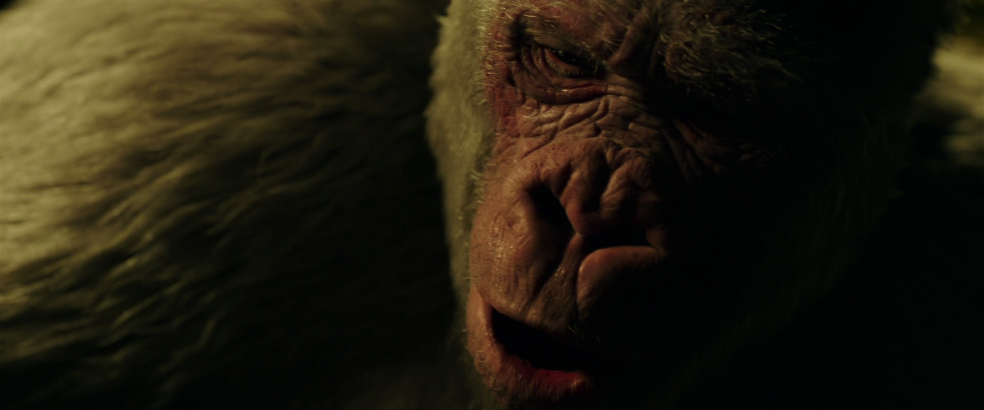 War for the Planet of the Apes (2017) HD screenshot 4211