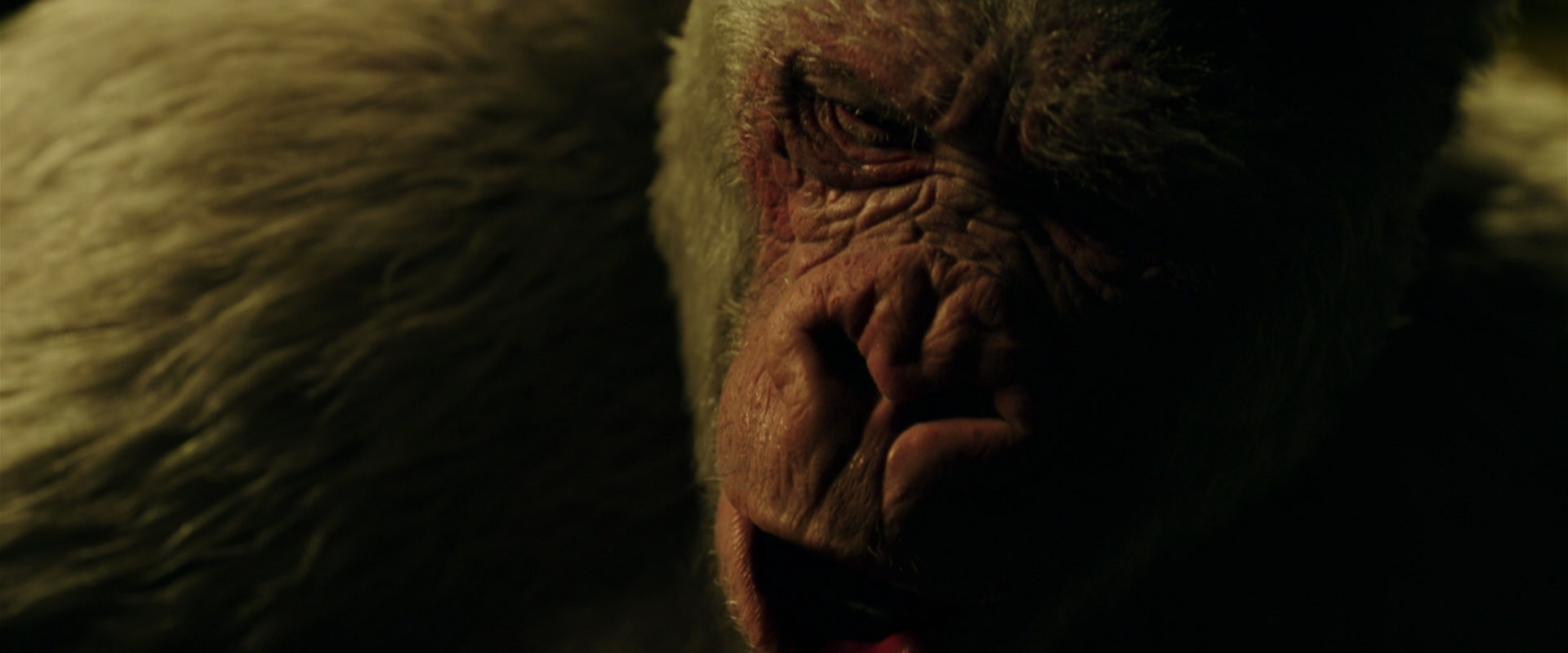 War for the Planet of the Apes (2017) screencap 4212