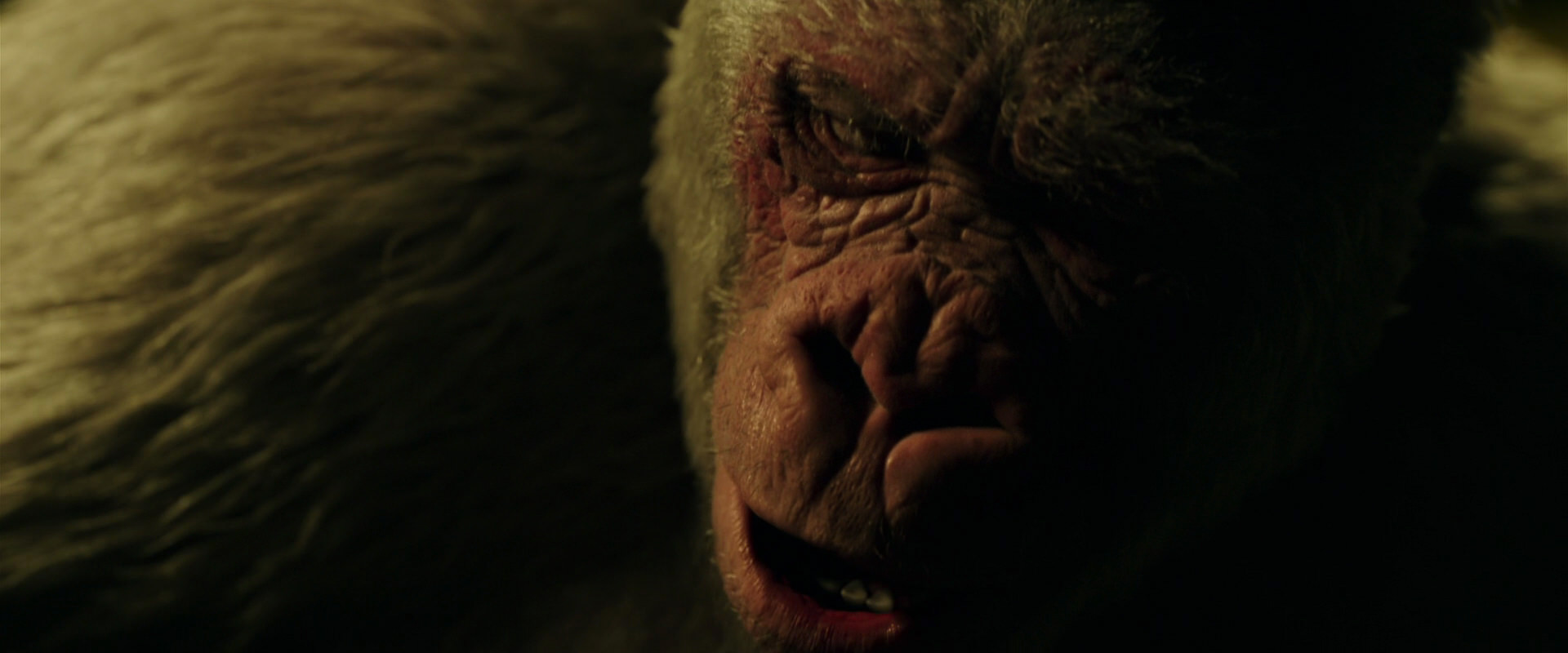 War for the Planet of the Apes (2017) movie still 4213