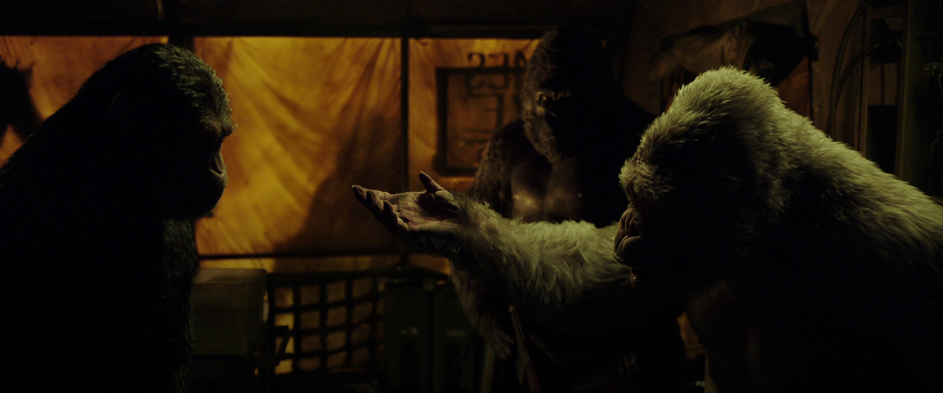 War for the Planet of the Apes (2017) HD screenshot 4214