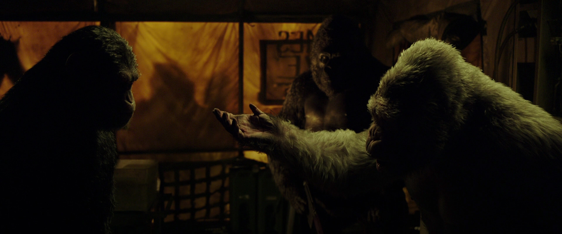 War for the Planet of the Apes (2017) screencap 4215