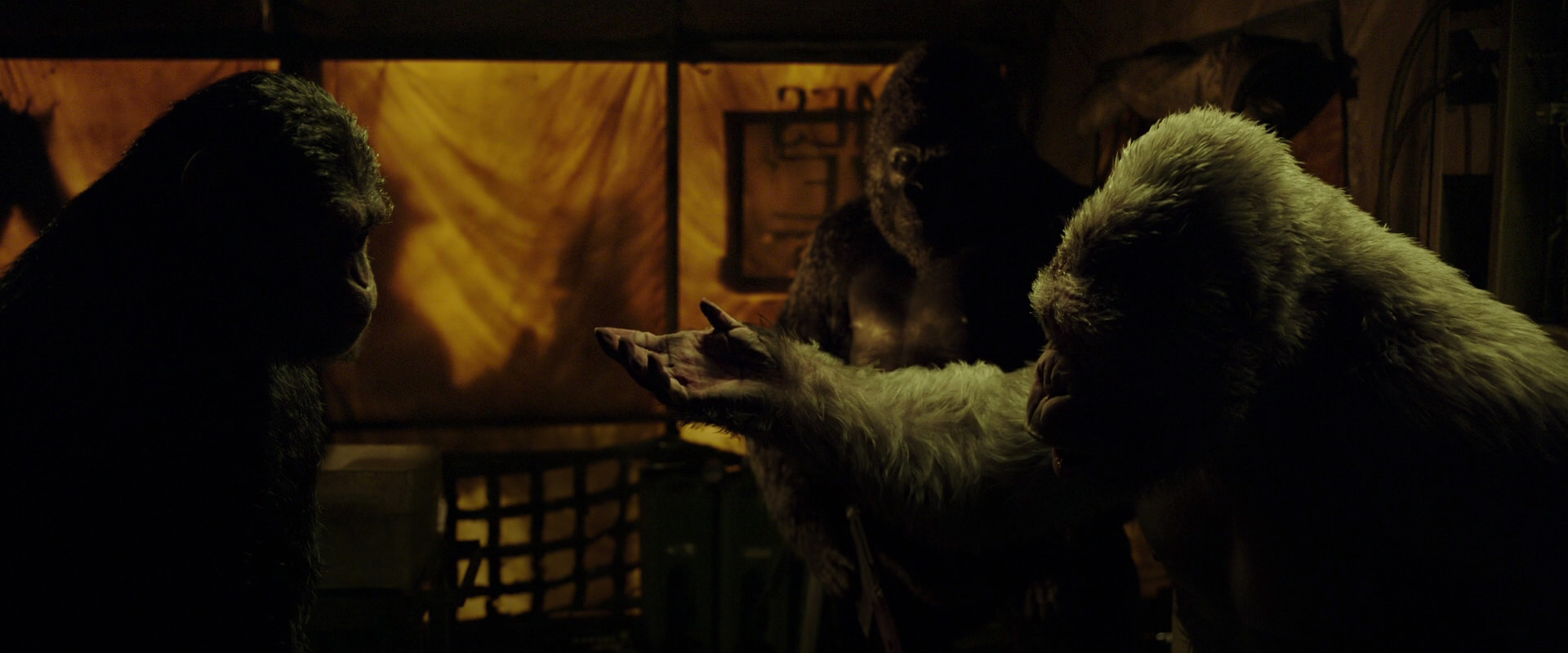 War for the Planet of the Apes (2017) movie still 4216