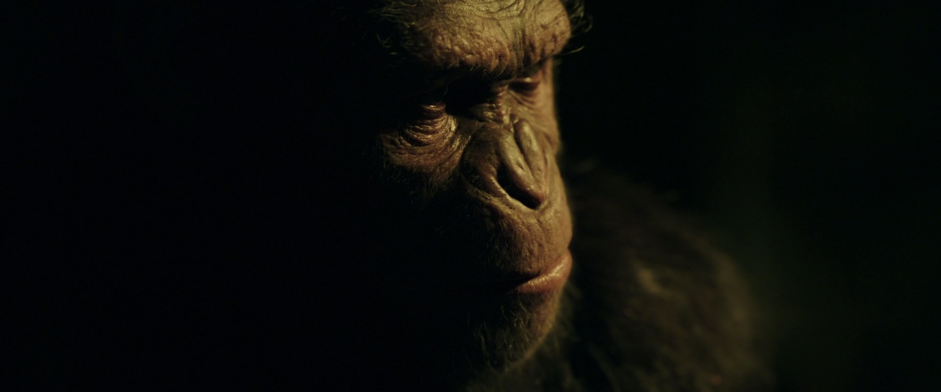 War for the Planet of the Apes (2017) movie still 4219