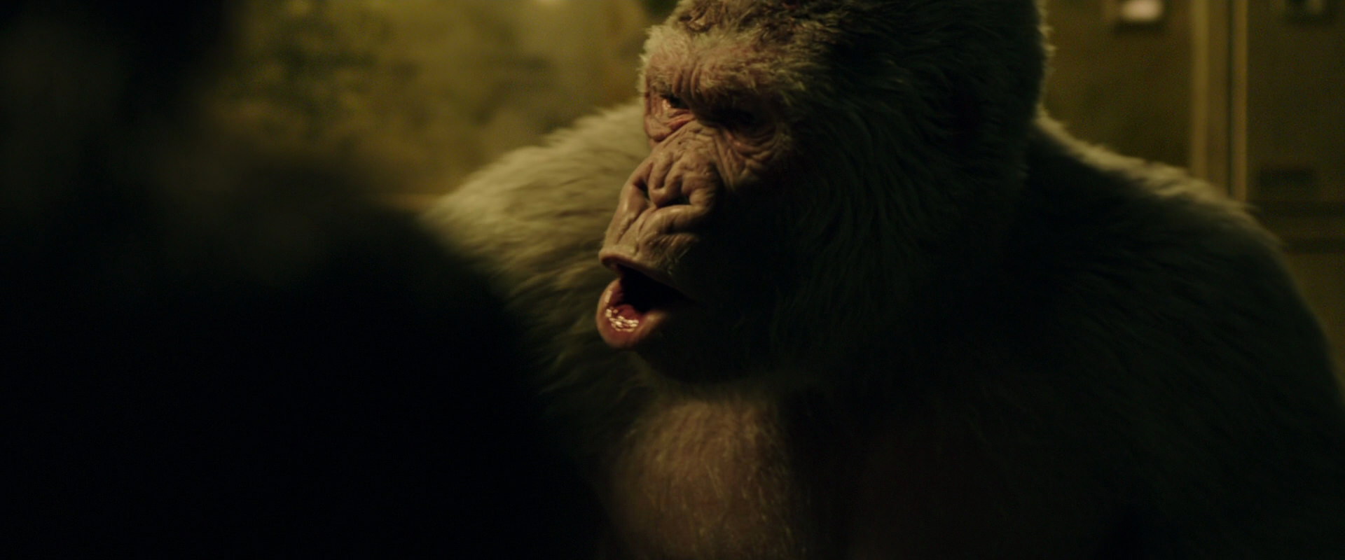 War for the Planet of the Apes (2017) HD screenshot 4220