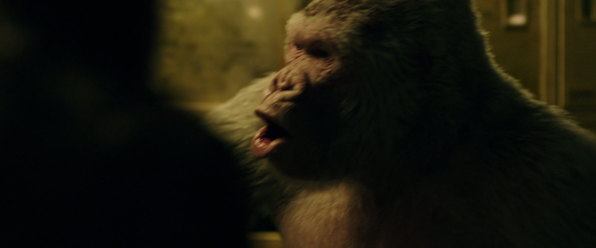 War for the Planet of the Apes (2017) screencap 4221
