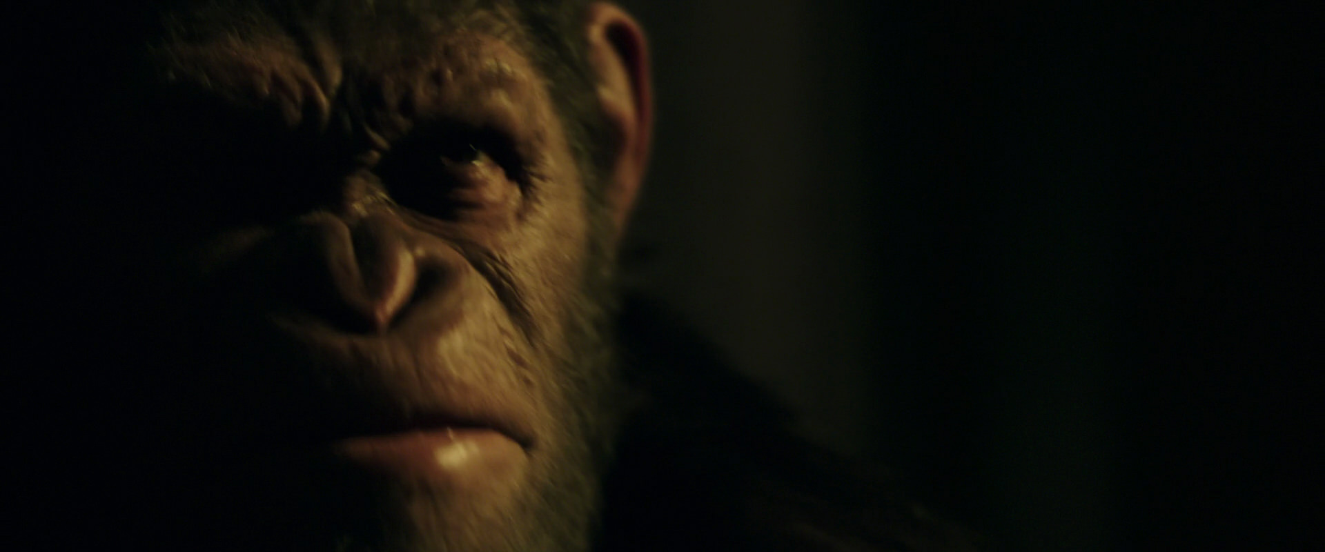 War for the Planet of the Apes (2017) movie still 4222