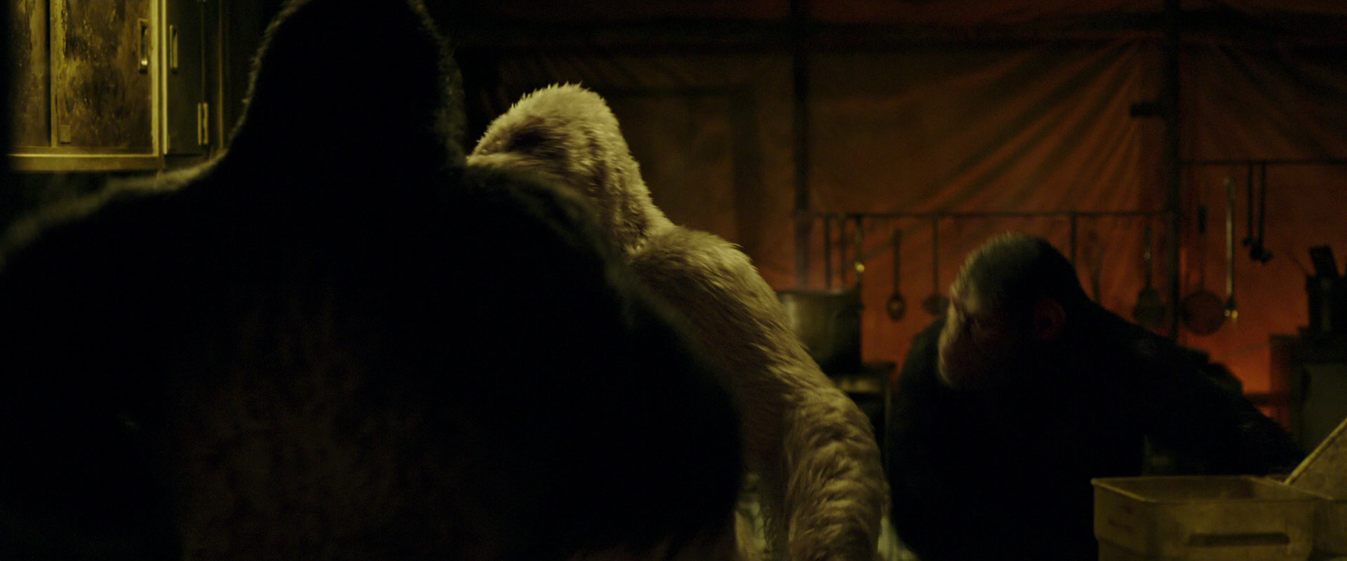 War for the Planet of the Apes (2017) screencap 4224