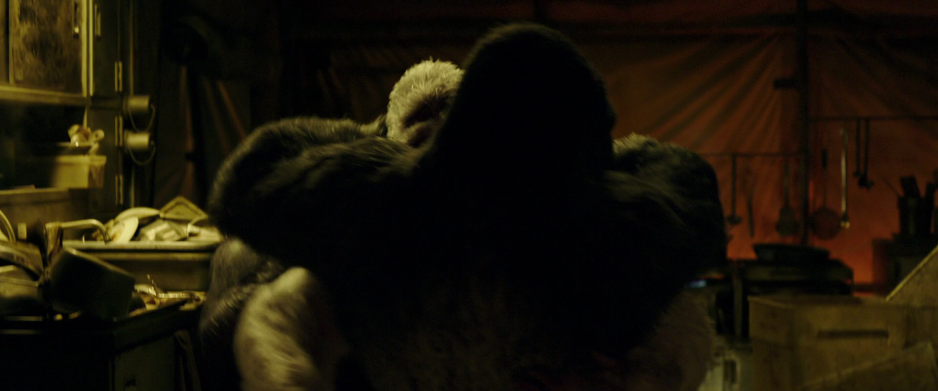 War for the Planet of the Apes (2017) screencap 4227