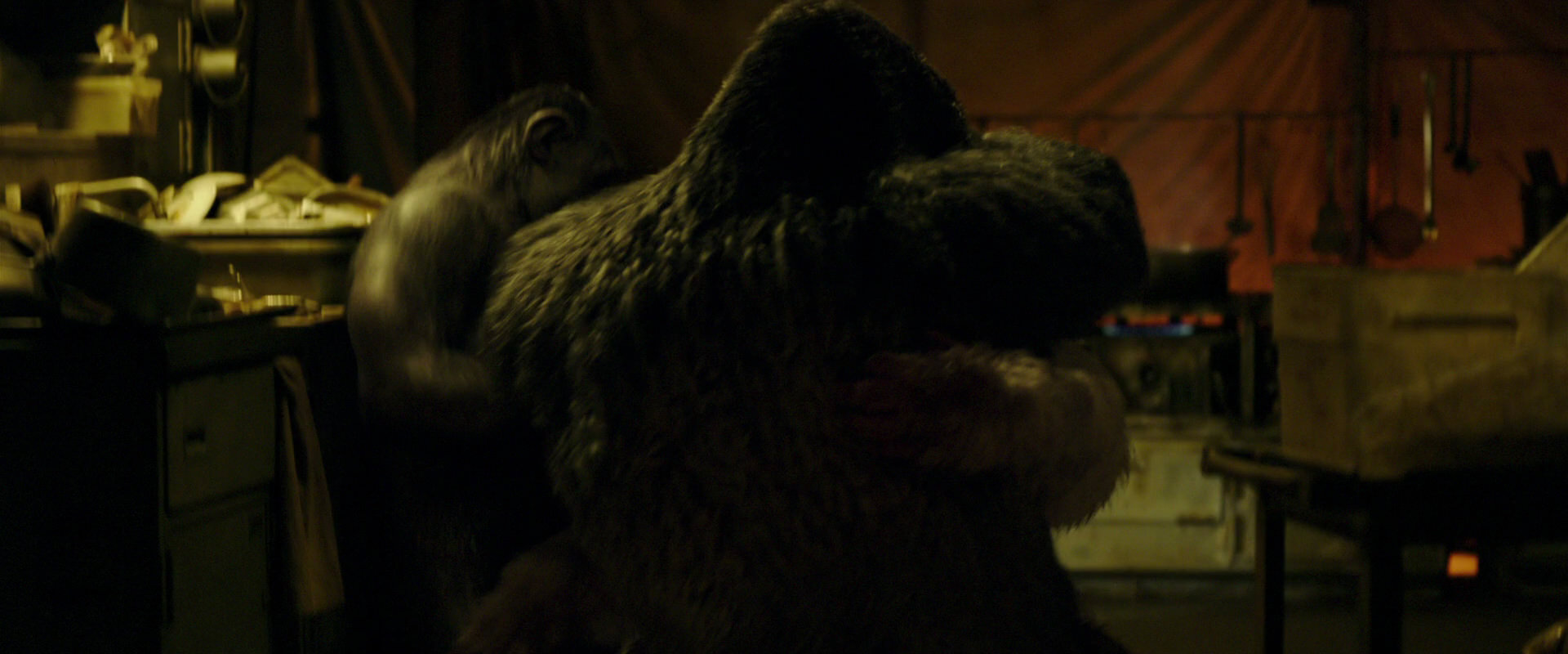War for the Planet of the Apes (2017) movie still 4228