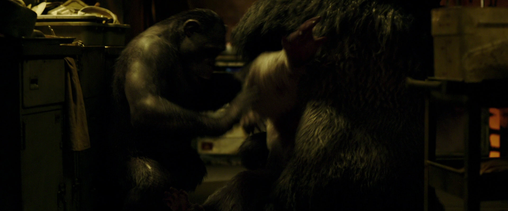 War for the Planet of the Apes (2017) HD screenshot 4232