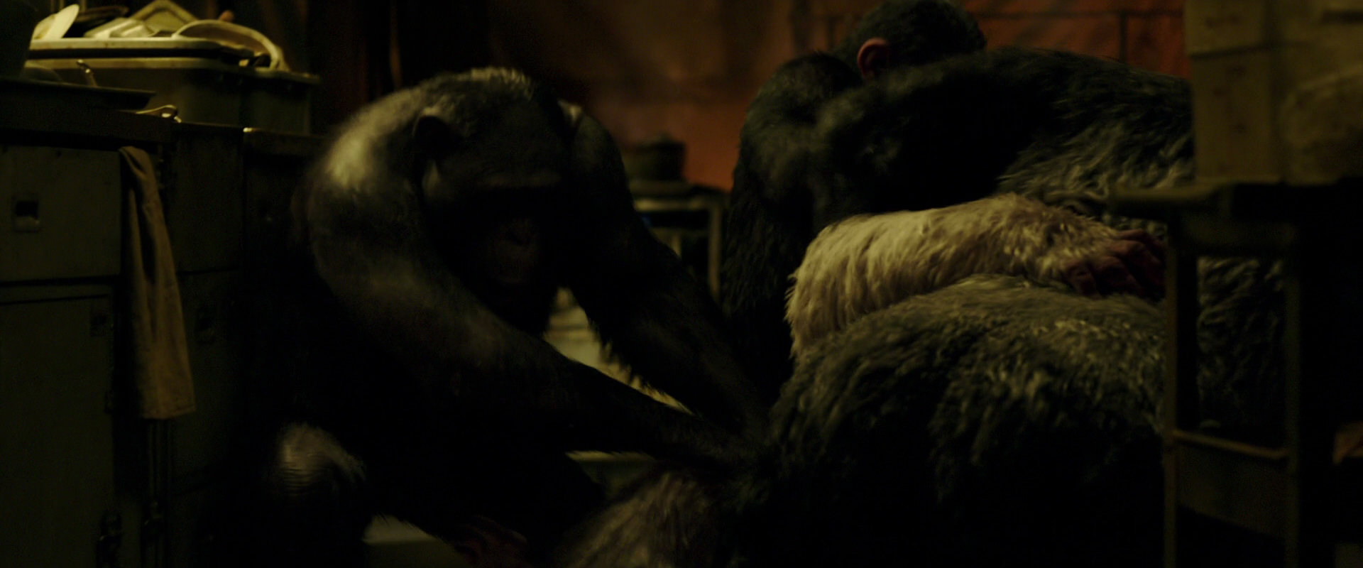 War for the Planet of the Apes (2017) screencap 4233
