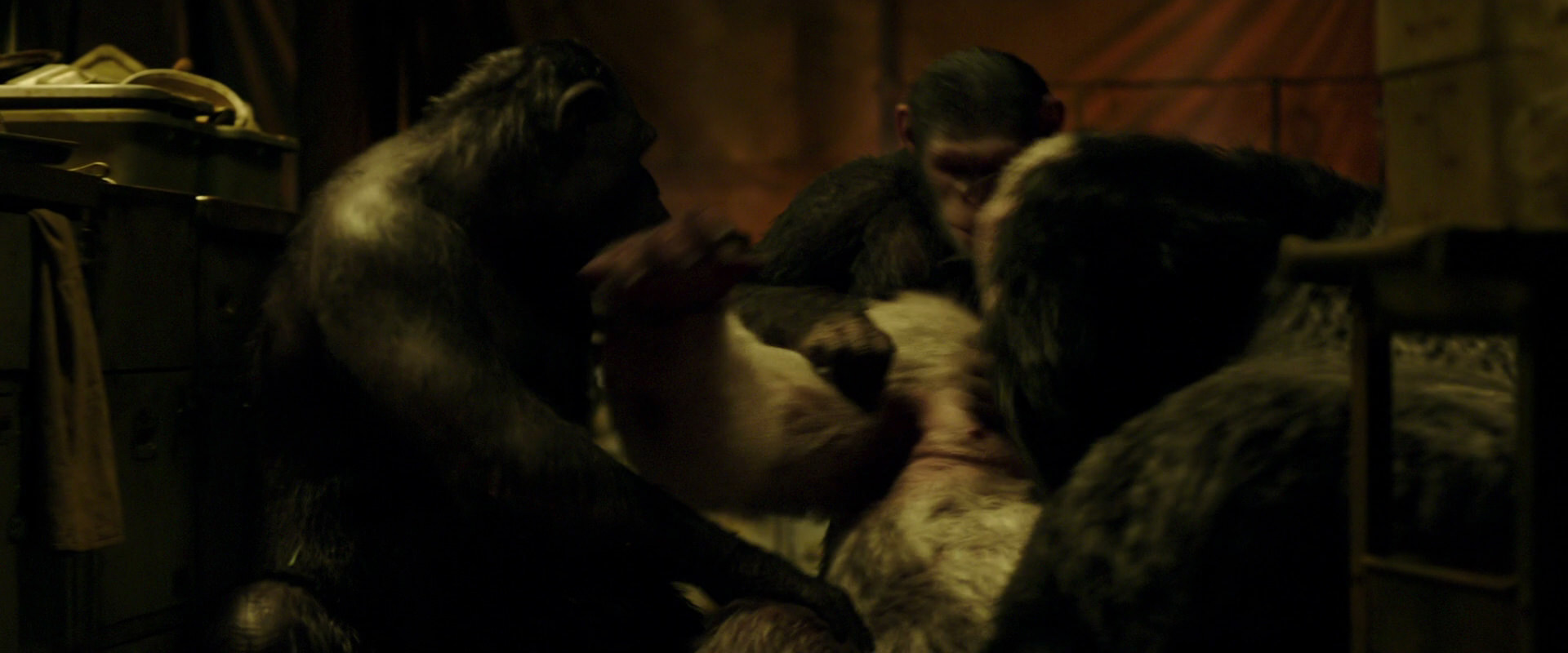 War for the Planet of the Apes (2017) movie still 4234