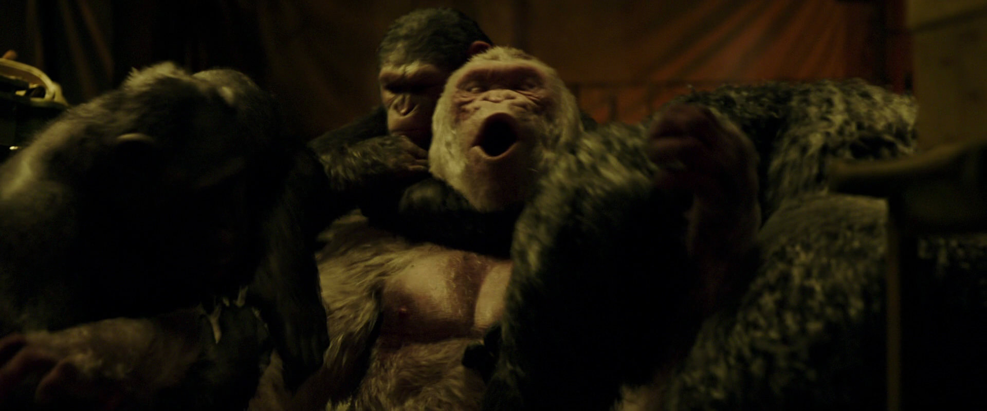War for the Planet of the Apes (2017) screencap 4236