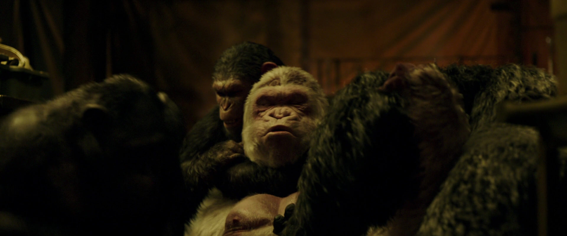 War for the Planet of the Apes (2017) movie still 4237