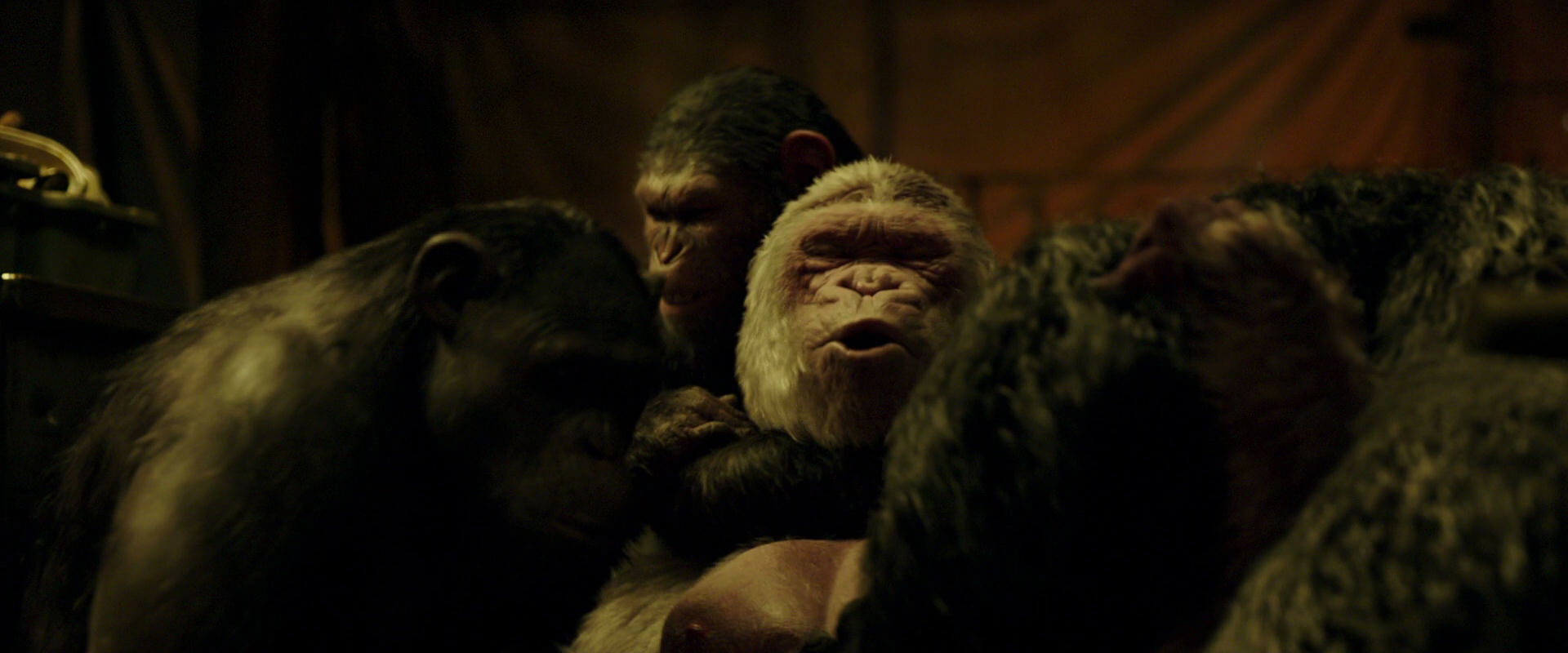 War for the Planet of the Apes (2017) HD screenshot 4238