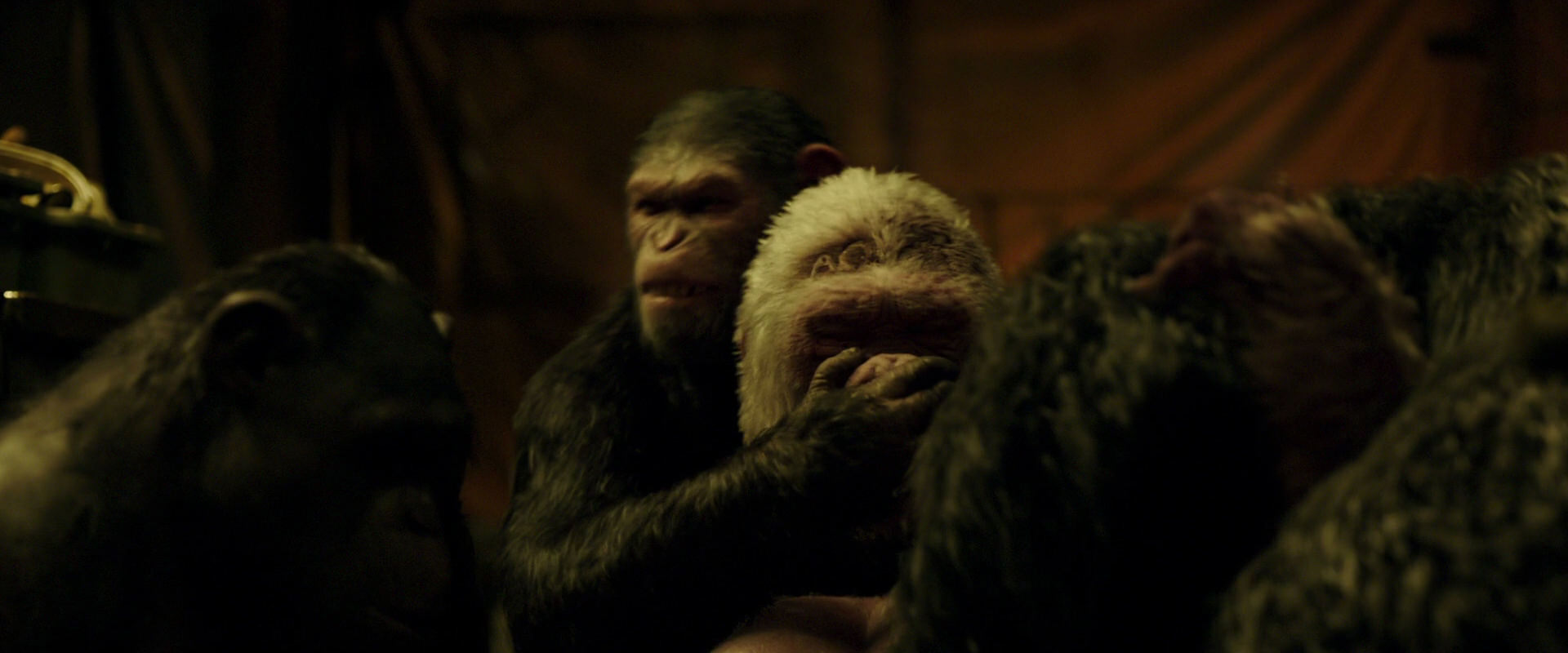 War for the Planet of the Apes (2017) screencap 4239