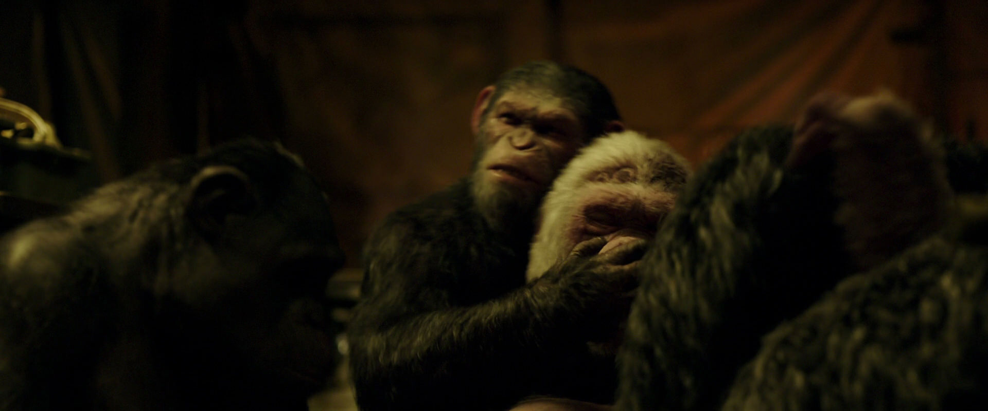 War for the Planet of the Apes (2017) movie still 4240