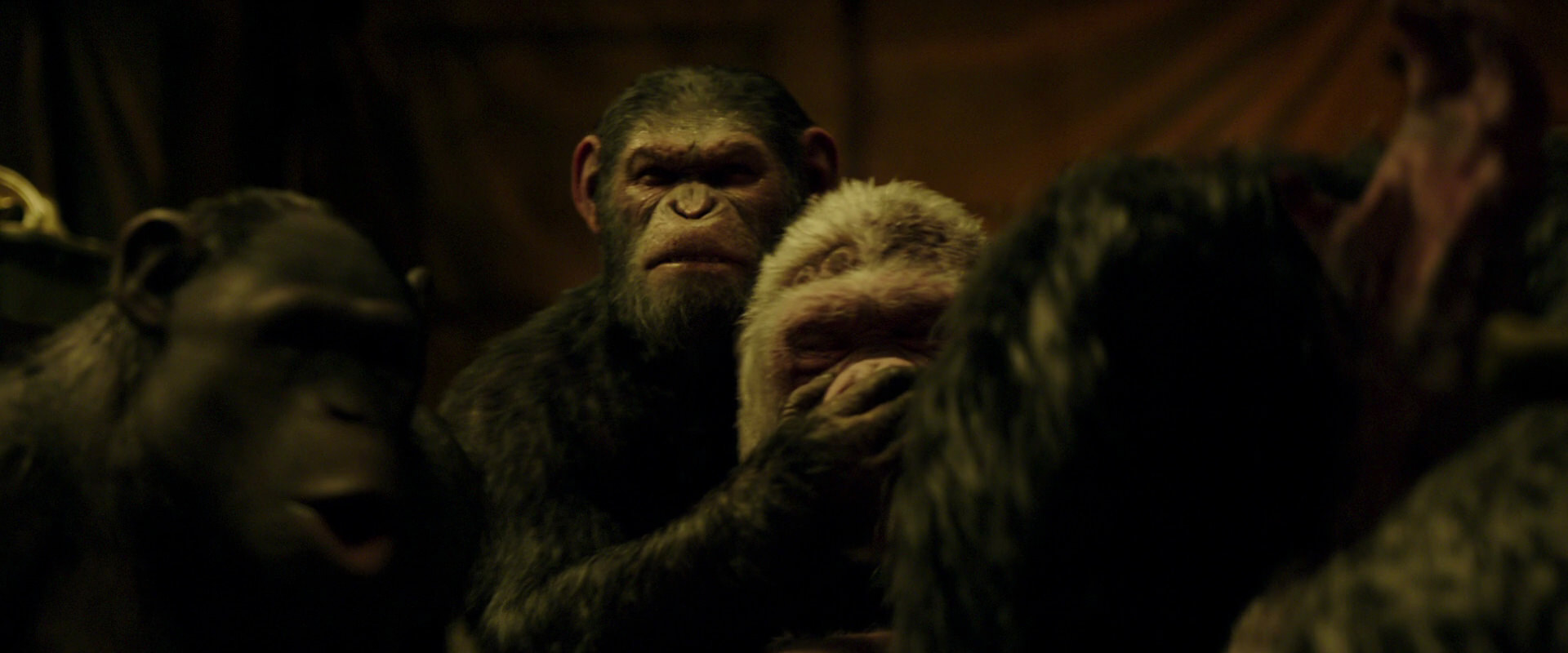 War for the Planet of the Apes (2017) HD screenshot 4241