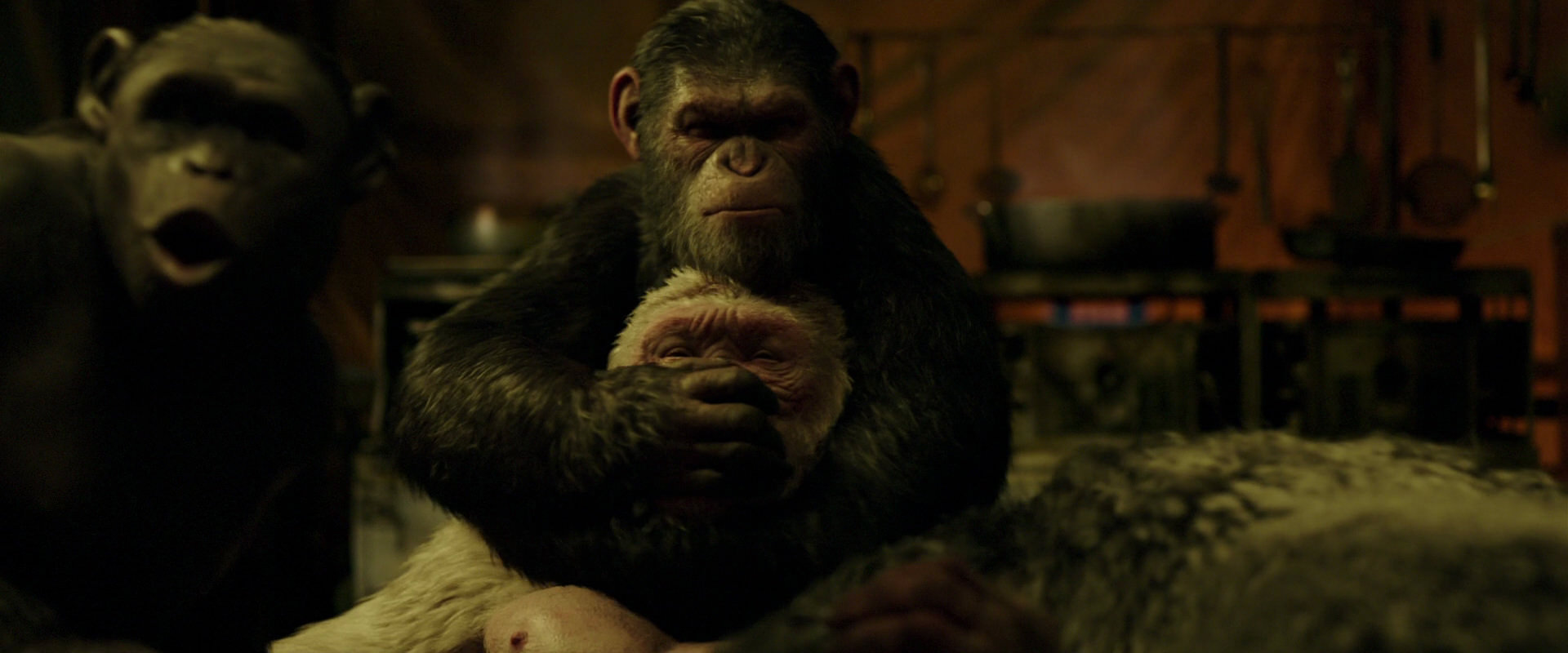War for the Planet of the Apes (2017) screencap 4248