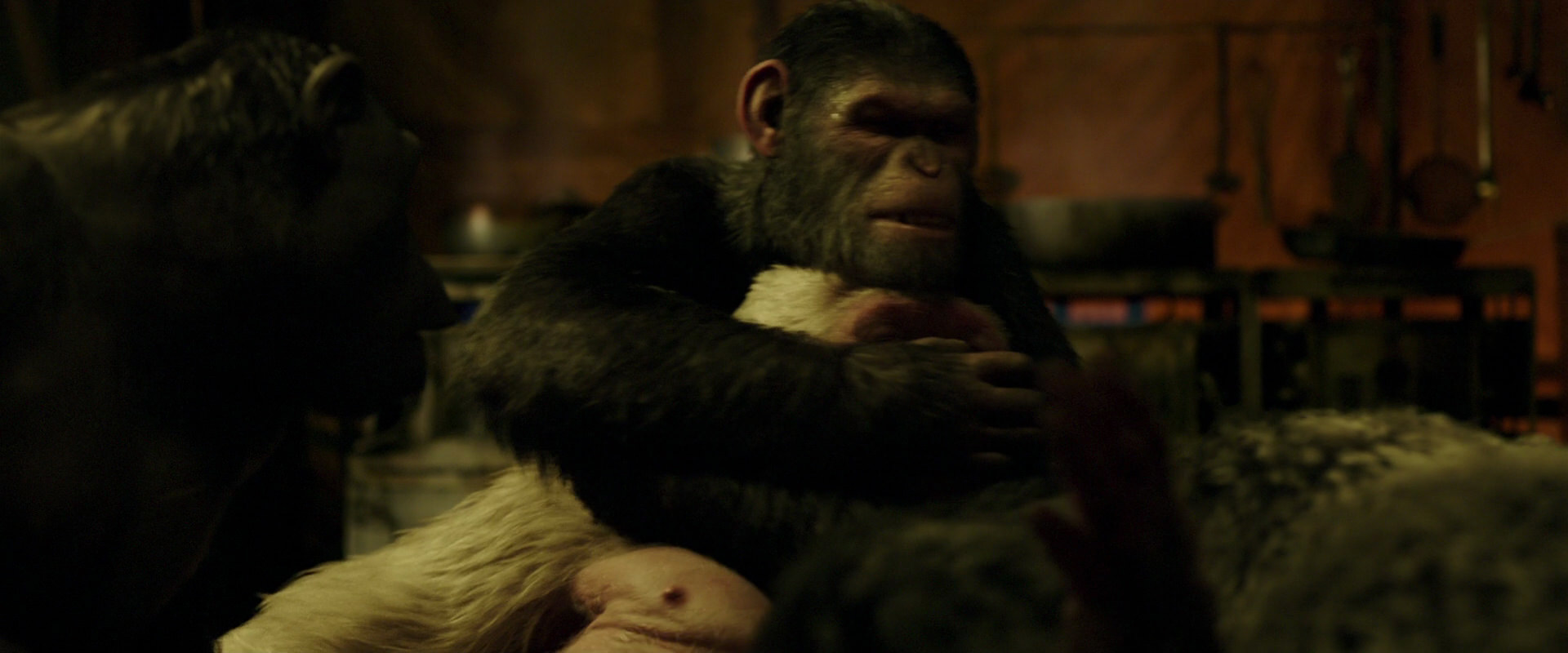 War for the Planet of the Apes (2017) movie still 4249