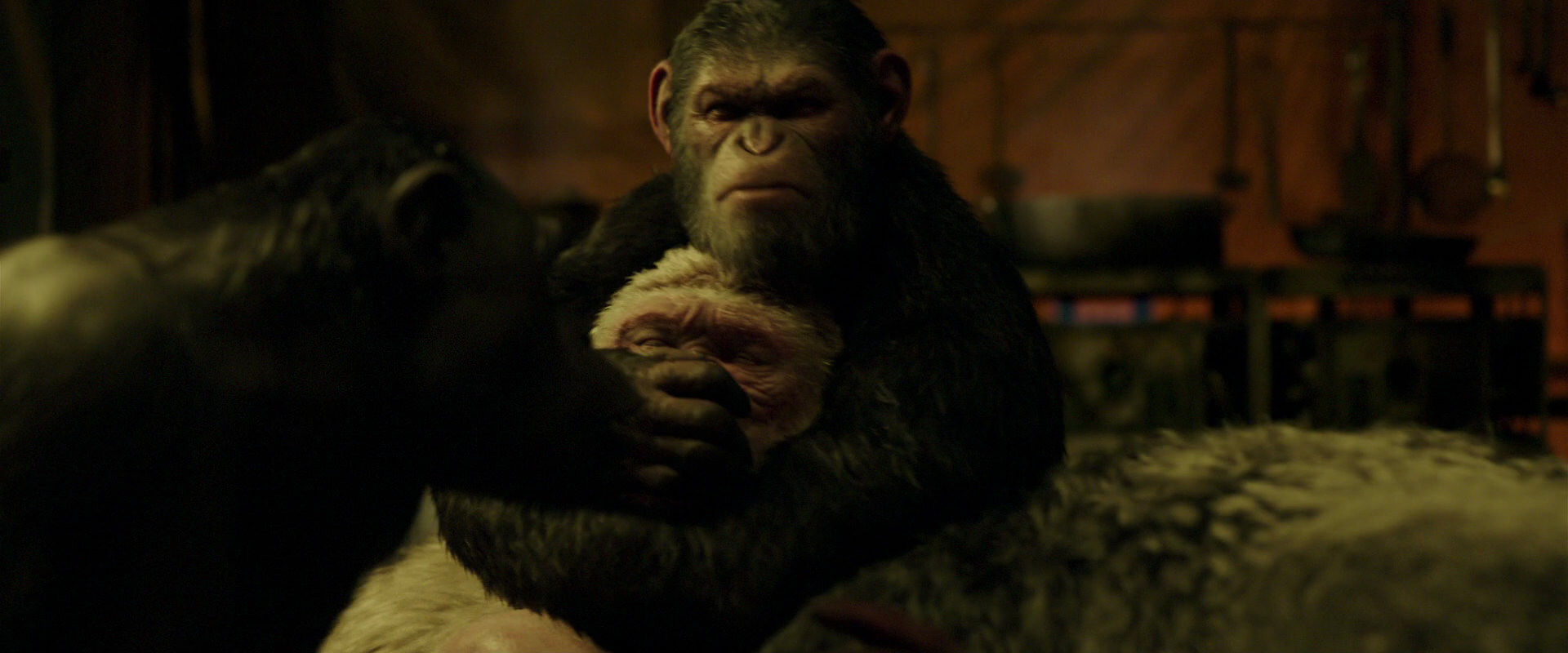 War for the Planet of the Apes (2017) HD screenshot 4250