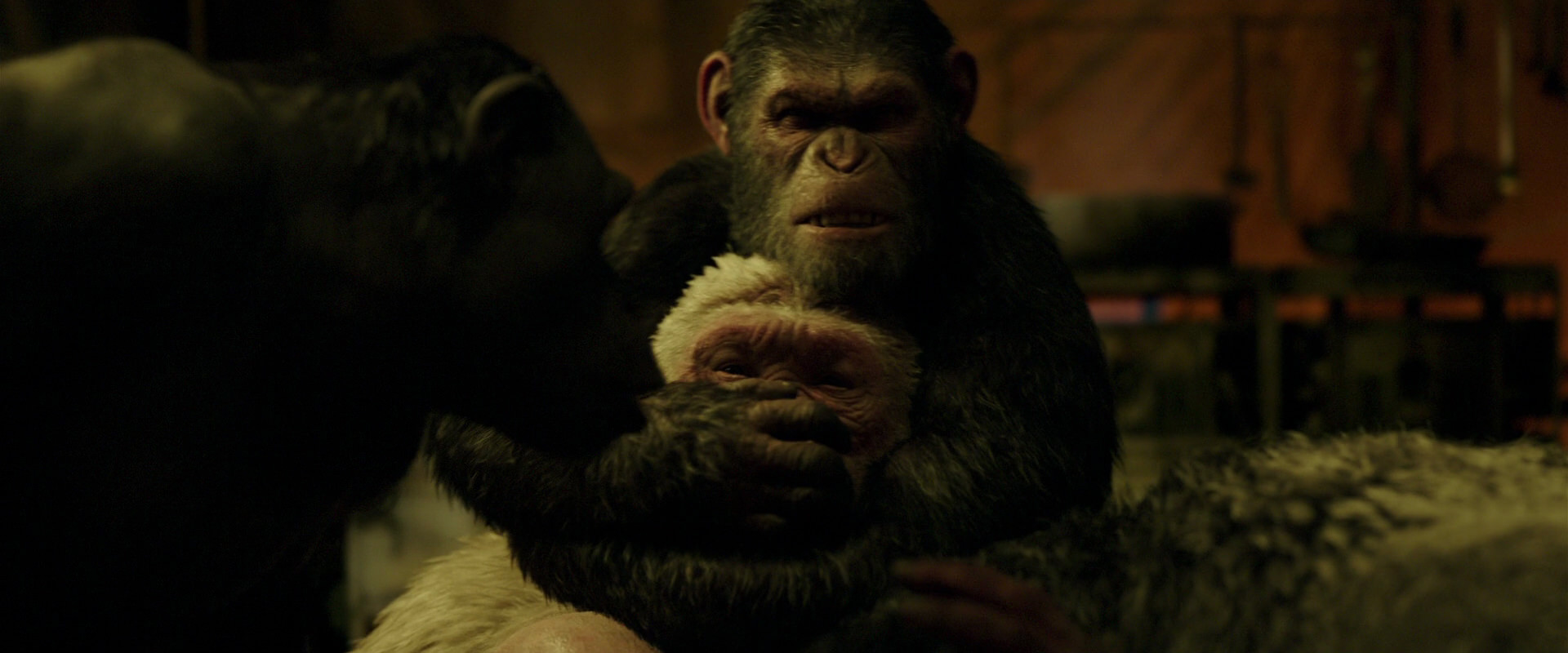 War for the Planet of the Apes (2017) screencap 4251