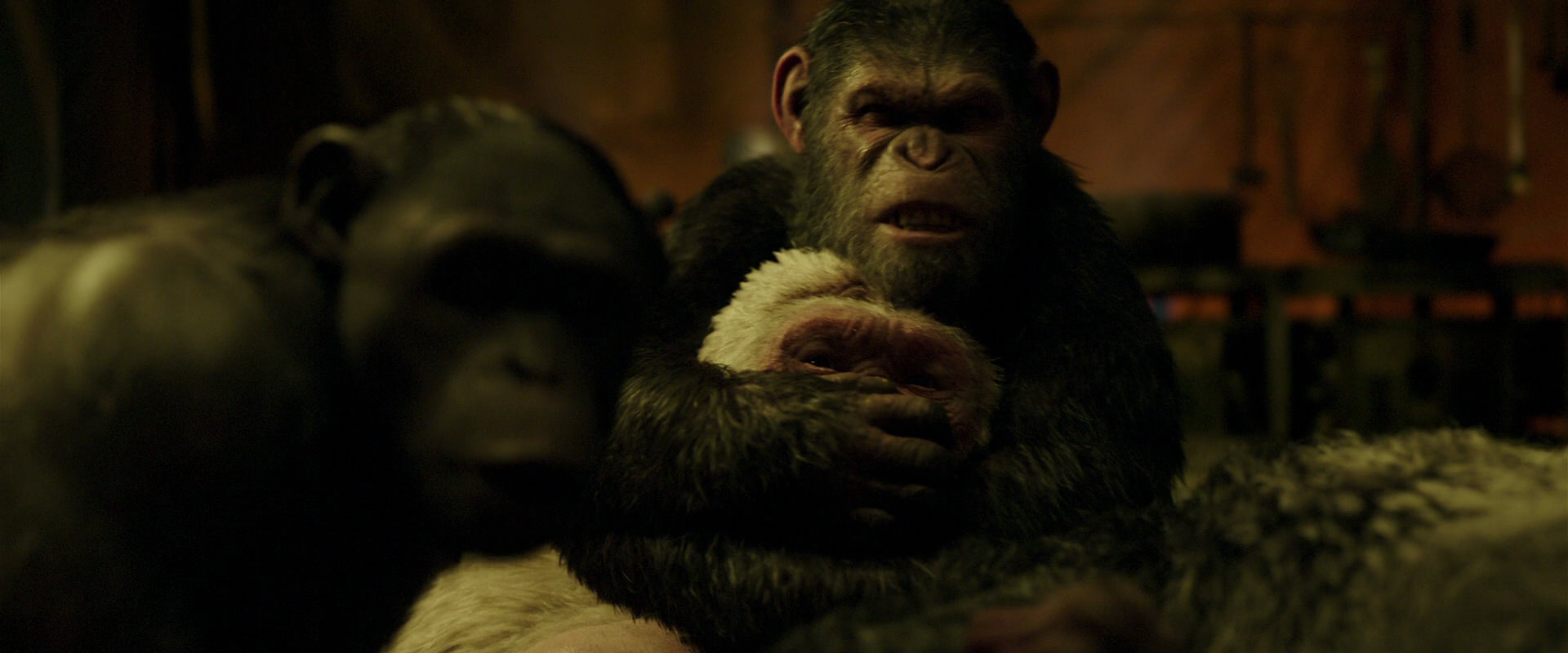 War for the Planet of the Apes (2017) movie still 4252