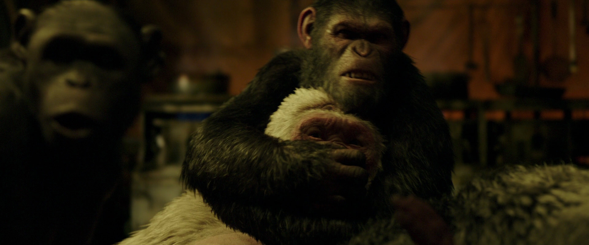 War for the Planet of the Apes (2017) HD screenshot 4253