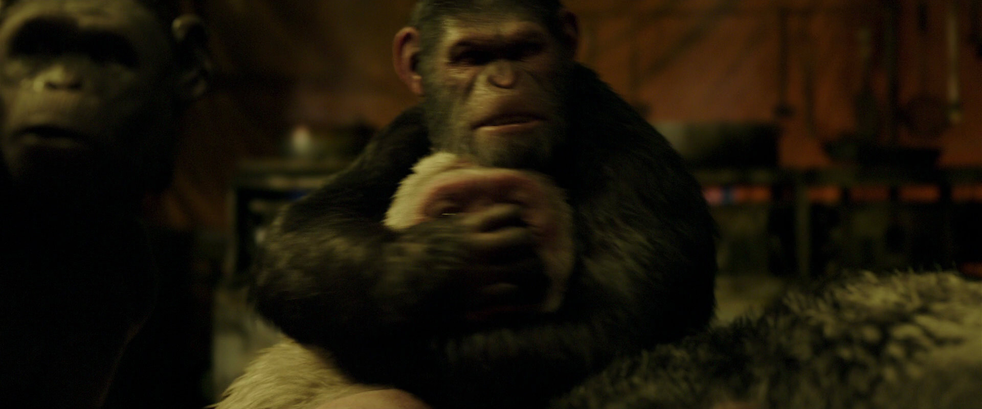 War for the Planet of the Apes (2017) screencap 4254