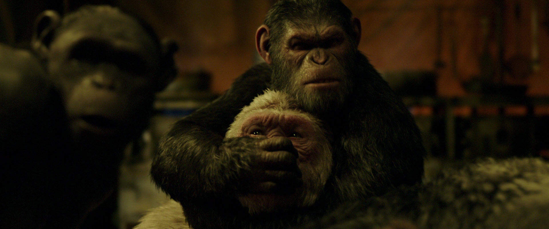 War for the Planet of the Apes (2017) movie still 4255