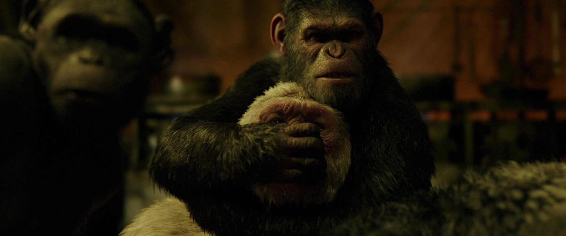 War for the Planet of the Apes (2017) HD screenshot 4256