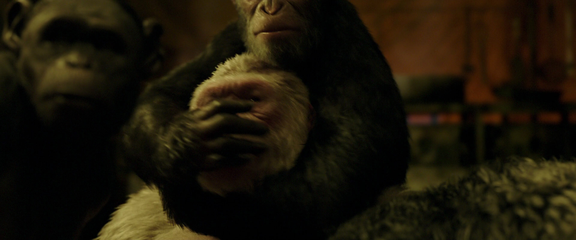 War for the Planet of the Apes (2017) screencap 4257